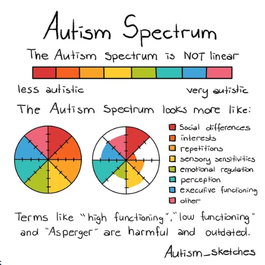 Autism spectrum not being a line but a wheel with different attributes including social differences and emotional regulation